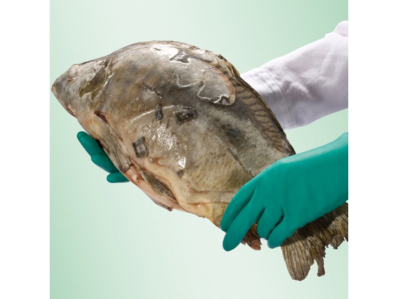 Produktbild KCL CAMATRIL 730 Velour Gr.07